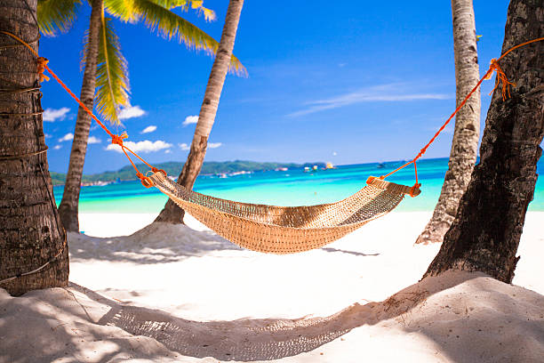 istock Straw hammock in the shadow of palm on tropical beach 468670939
