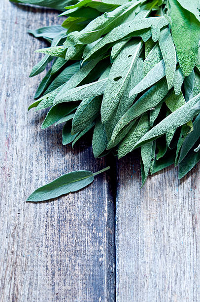 istock Sage on a wooden background 468671678