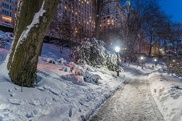 istock winter storm Central Park, New York City 468673134