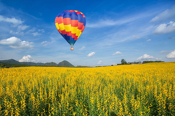 istock Hot air balloon over yellow flower fields against blue sky 468673622