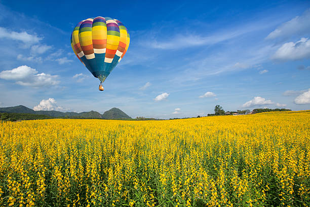 istock Hot air balloon over yellow flower fields against blue sky 468673628