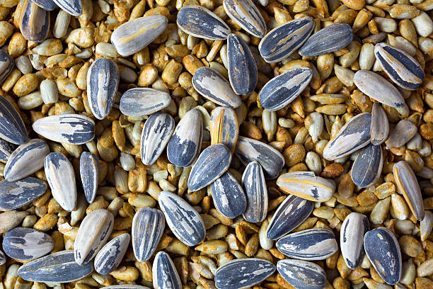 istock Sunflower seeds atop sunflower kernels 468679984