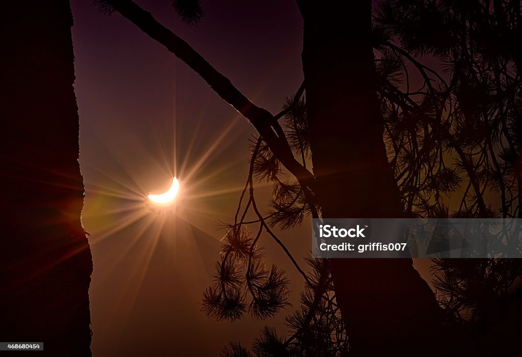Half Eclipse Sun Eclipse Half Covered By Moon Stock Photo - Download Image Now ...