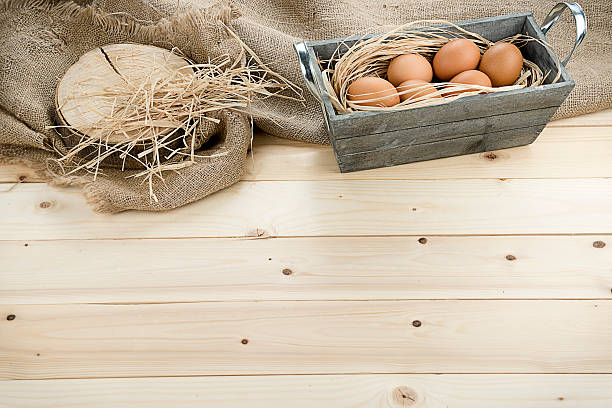Eggs on Wood with Copy Space