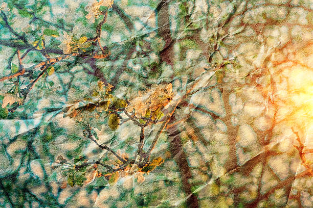 istock blossoming branches apple tree at sunrise with texture of old 468689866
