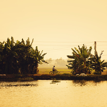 Man on silhouette cycling alongside a canal in the south of India