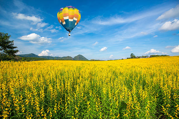 istock Hot air balloon over yellow flower fields against blue sky 468695114