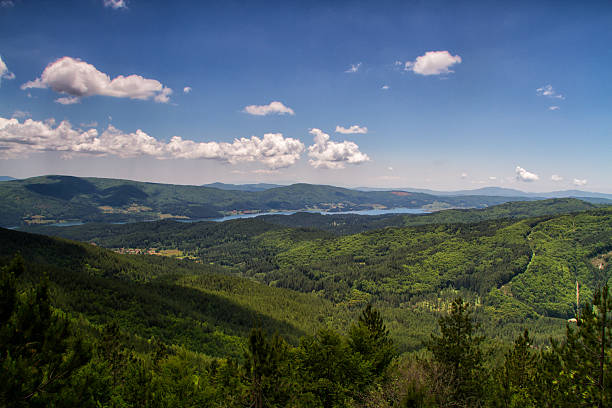 Sila National Park stock photo