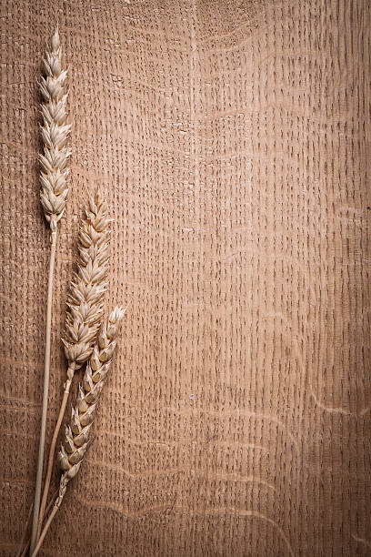 copyspace bild von reife weizen-ohren auf holz brett in der nähe - wheat whole wheat close up corn on the cob stock-fotos und bilder