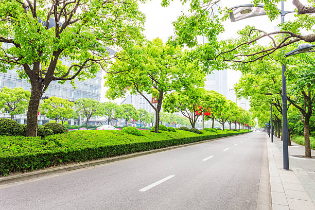 istock Trees decorated road in modern city 468704512