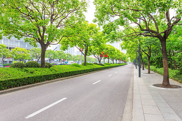 istock Trees decorated road in modern city 468704550