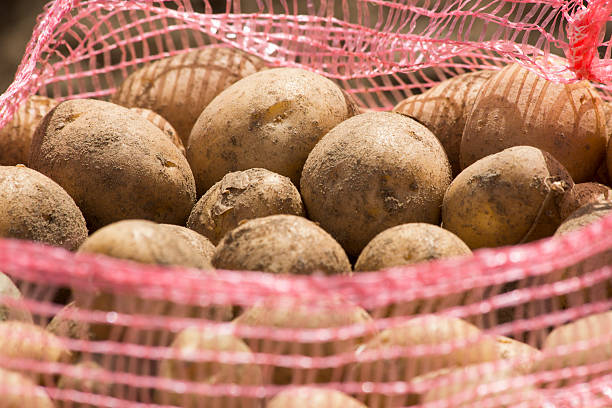 Sack of potatoes stock photo
