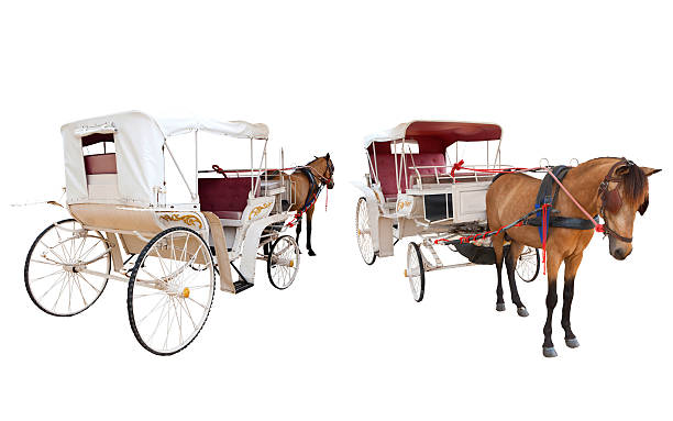 istock horse carriage cabin 468706032