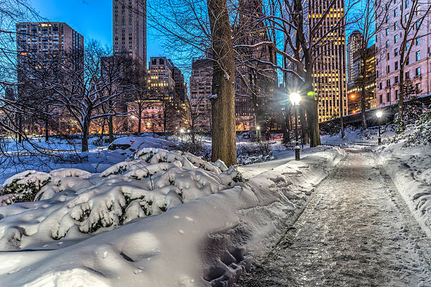 istock winter storm Central Park, New York City 468711052