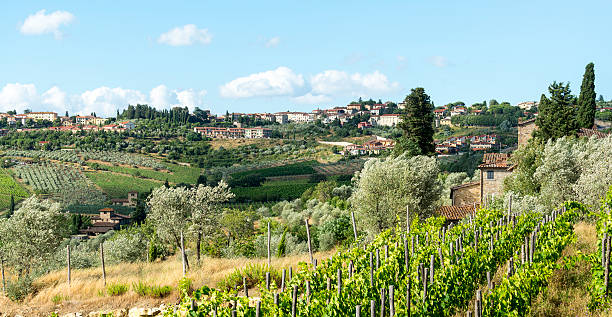 istock Chianti, Tuscany 468713954