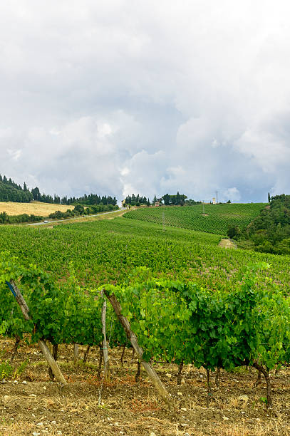 istock Chianti, Tuscany 468713956