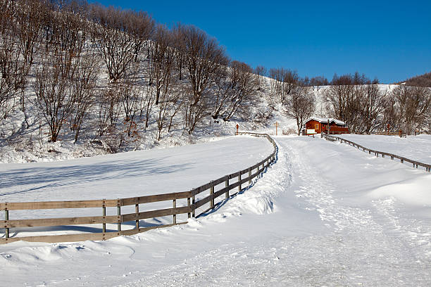 Pyeongchang is the host city for the 23rd Winter Game in 2018.