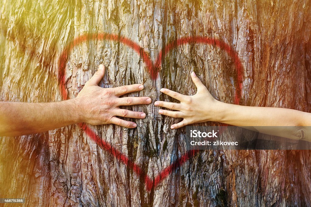 Couple touching heart in sunlight Hands of couple in love hugging a tree with painted red heart with yellow and golden sunlight Couple - Relationship Stock Photo