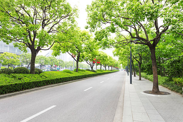 istock Trees decorated road in modern city 468716510