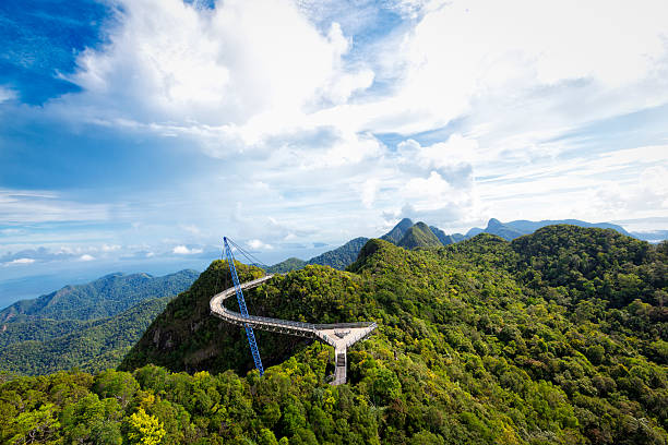 sky bridge langkawi, vista panorâmica - tropical rainforest elevated walkway pulau langkawi malaysia - fotografias e filmes do acervo