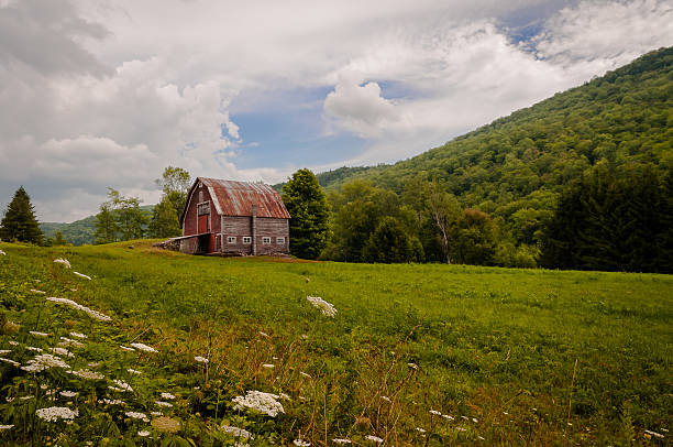 istock Barn in the countryside 468721842