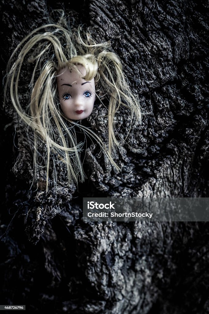 Dolls Head Hanging From Tree With Thin Hair Stock Photo - Download Image Now - Doll, Horror, Spooky - iStock Dolls Head Hanging From Tree With Thin Hair Stock Photo - Download Image Now - Doll, Horror, Spooky - iStock