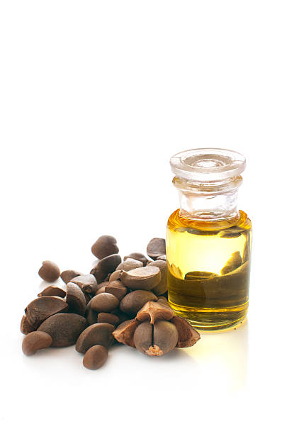 Camellia oil in a bottle and nuts on a white background