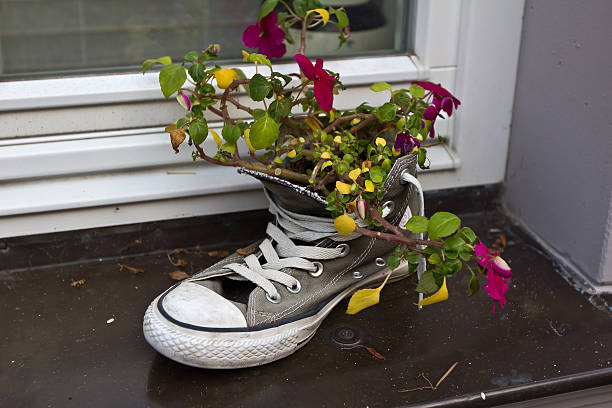 Old shoe as a flower pot on the windowsill.