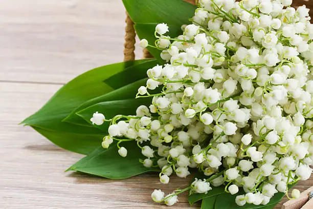 Photo of lilly of the valley posy