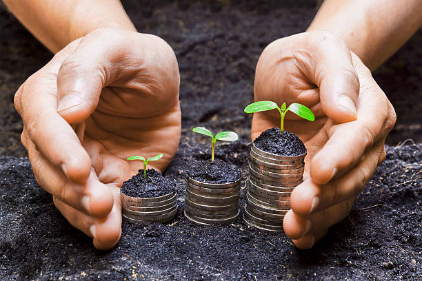 istock Two hands protecting seedlings planted on stacks on coins 468732167
