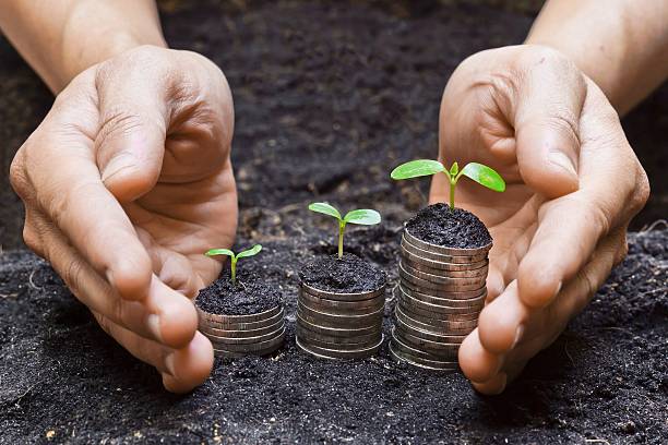 istock hands holding tress growing on coins 468732353