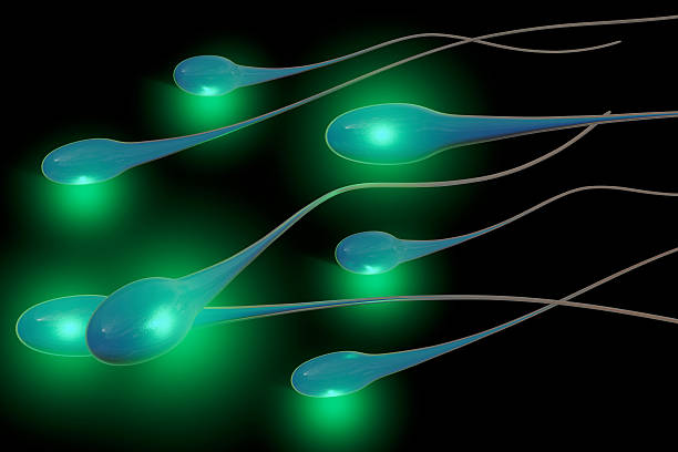 Sperm - 3d rendered illustration stock photo