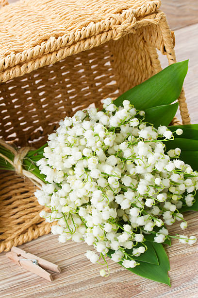 istock lilly of the valley posy 468733446