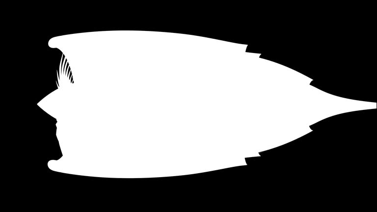 297 Turbojet Engine Stock Videos and Royalty-Free Footage - iStock 297 Turbojet Engine Stock Videos and Royalty-Free Footage - iStock