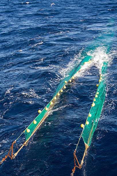 Hauling Otter Trawl Fishing Nets On The Atlantic Sea Stock Photo
