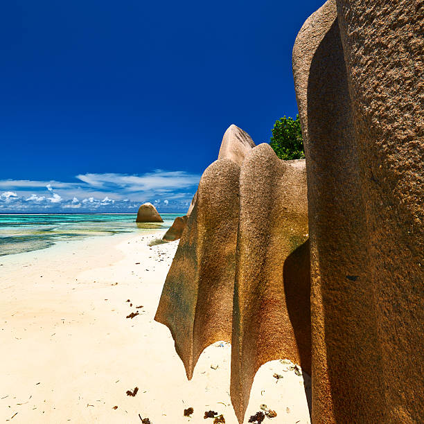 istock Beautiful beach at Seychelles 468737346