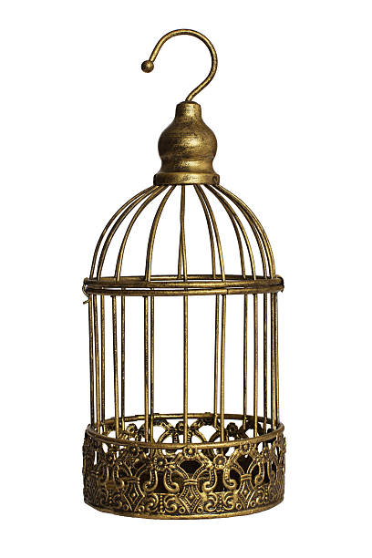 istock Vintage birdcage isolated on white background 468738679