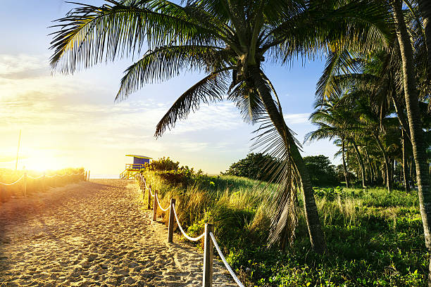istock Sandy path to a lifeguard tower in Miami Beach Florida 468739654