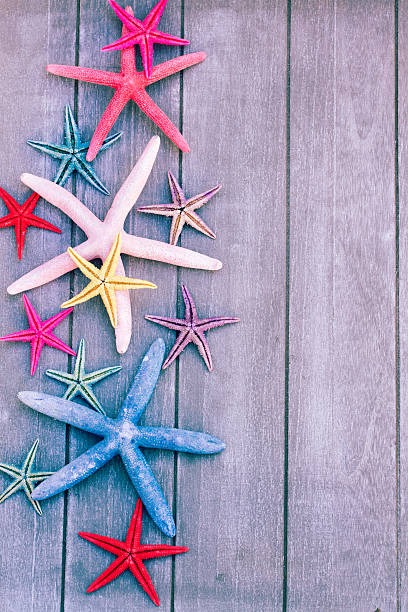 istock starfish on wooden board 468739946