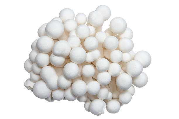 istock Enokitake mushrooms on a white background 468742651