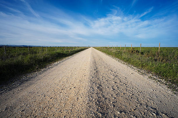 istock Country Road in Ribatejo 468744812