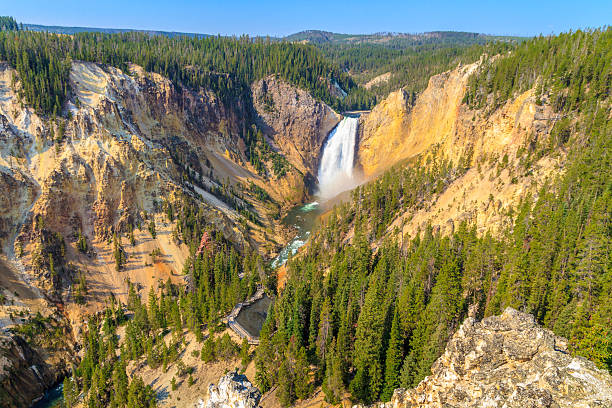 cachoeira lower, grand canyon do parque nacional de yellowstone - lower falls imagens e fotografias de stock