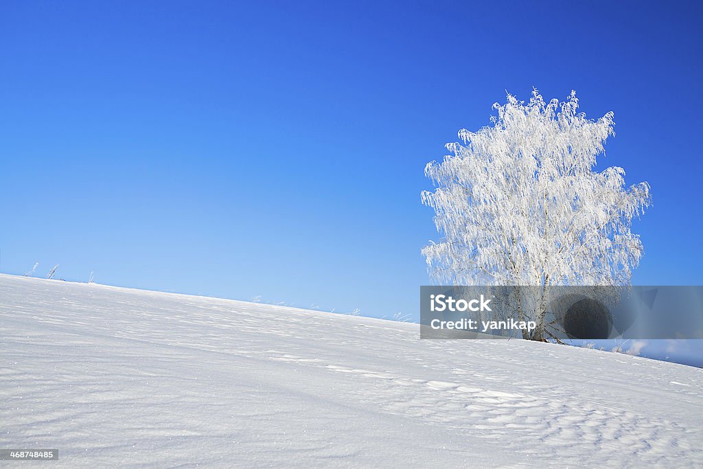 winter landscape with a lonely tree and the blue sky beautiful winter landscape with a lonely tree and the blue sky Agricultural Field Stock Photo