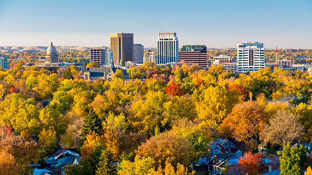 Valley filled with autumn in the city of trees stock photo