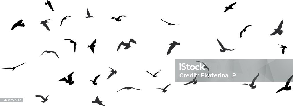 Birds, gulls, black silhouette on white background. Vector Birds, gulls, black silhouette on white background. Vector illustration Seagull stock vector