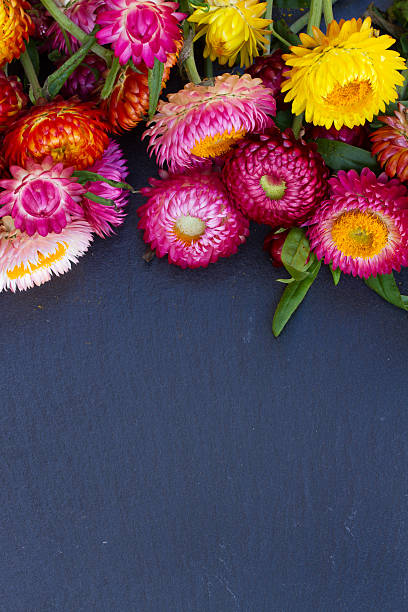 istock Bouquet of Everlasting flowers 468752826