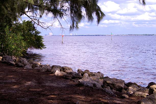 80+ Caloosahatchee River Bridge Stock Photos, Pictures & RoyaltyFree
