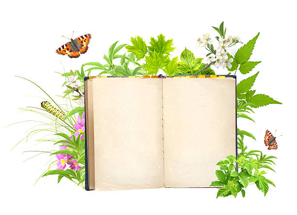 istock Book of nature 468762191