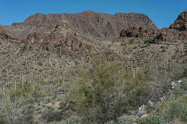 istock Tucson Mountain Park, Tucson, Arizona 468762530