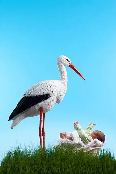 Stork bringing new birth baby on green grass and blue sky background.